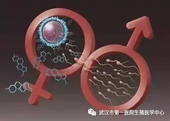 国家合法代孕