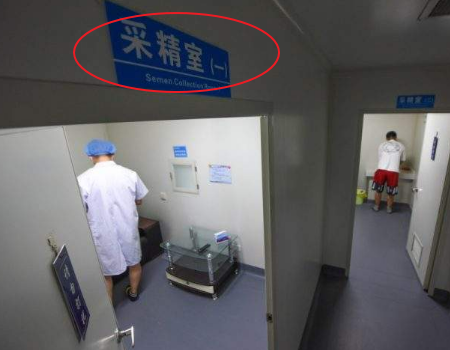 国内供卵