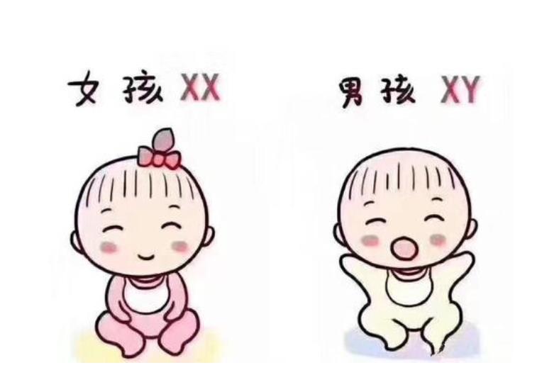 国内代孕