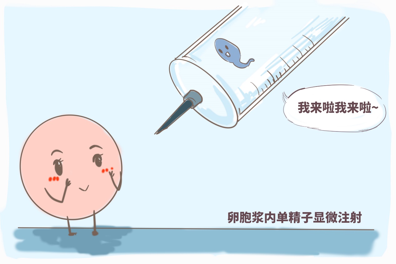 代孕风险