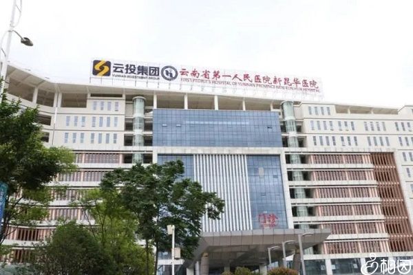 国外试管婴儿费用