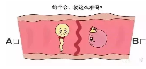 国外生小孩