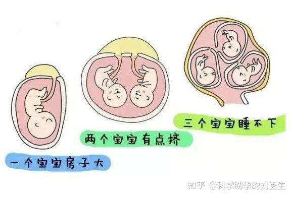 囊胚移植