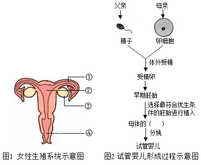 四川成都试管助孕费用
