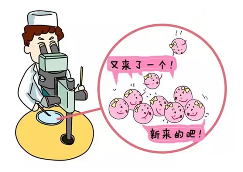 代孕