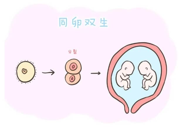 代孕